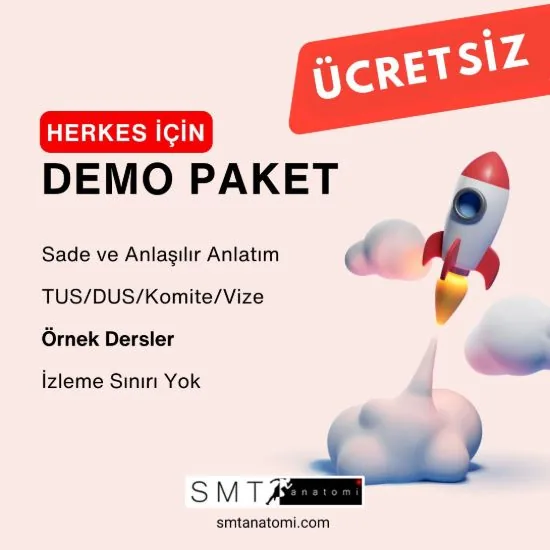 DEMO VİDEO PAKET - HERKES İÇİN ve ÜCRETSİZ!