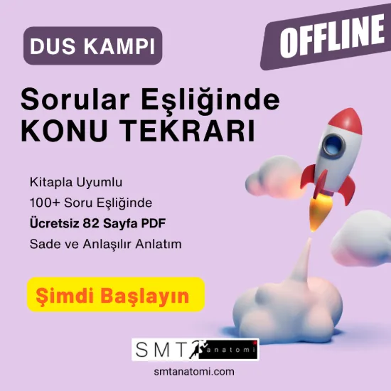 DUS Anatomi Kampı