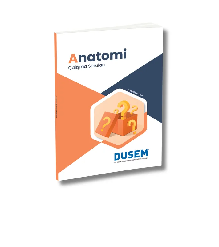 Dusem Soru Anatomi
