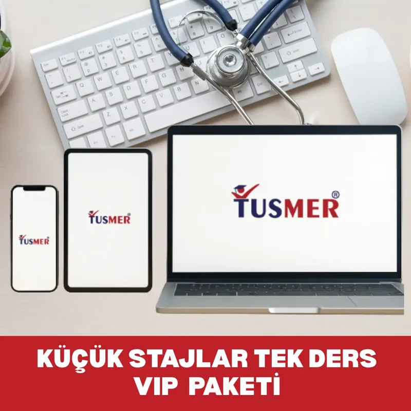Küçük Stajlar Tek Ders VIP Paketi