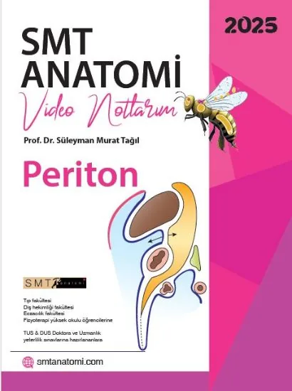 PERİTON - Embriyoloji Destekli - E-kitap