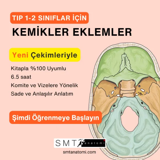 Tıp 1-2 Giriş, Kemikler ve Eklemler