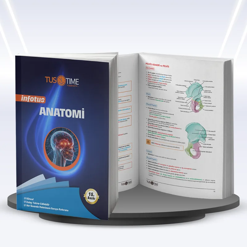 Tustime Infotus Anatomi