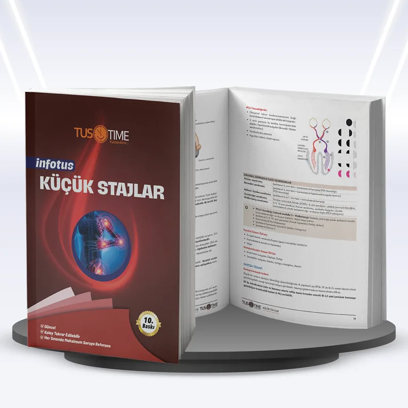 Tustime Infotus Küçük Stajlar