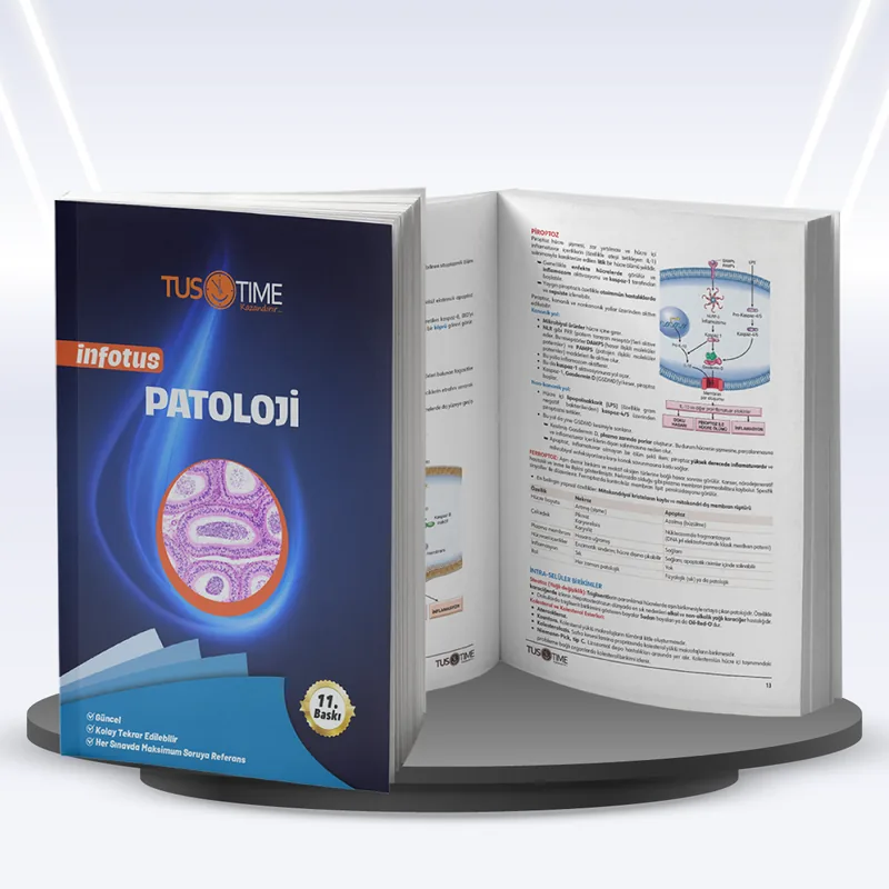 Tustime Infotus Patoloji